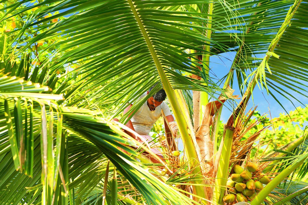 Casa Marari Hotel Mararikulam Luaran gambar